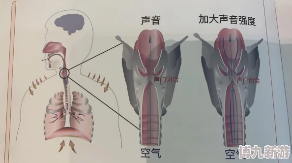 自W到高C夹枕头不同音域胸腔共鸣与气息控制的实践探索
