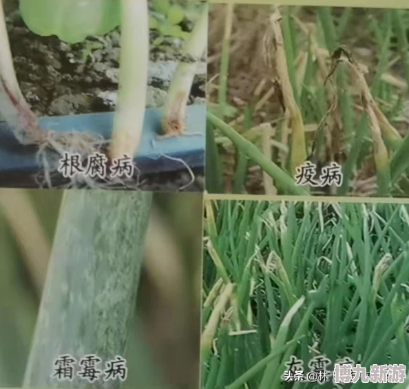 独家爆料：异环预下载时间揭晓，预约链接抢先分享！
