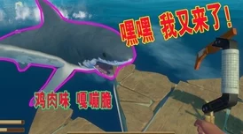 木筏求生熊岛剧情攻略：全物资点详解与完整剧情解析